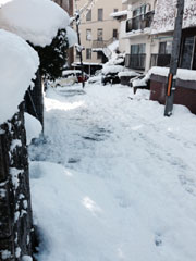 ����Ɍ�����ꂽ���m���{���t�߂̕��i