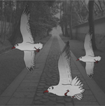 ���ꂼ��̓�