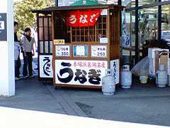 �U�f�̉���... ���������͉䖝���I