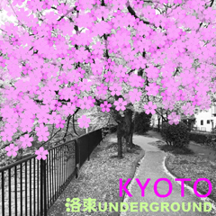 �wKYOTO�x  16th�A���o��