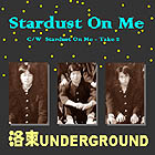 �u�l�̃X�^�[�_�X�g�v �V���O����