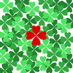 ���̓��ɗ�����