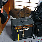 �X�^�W�I�ɗ����A�������Œ��Q�����ߍ��ށH�W���`���i�R���Ə����j