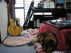 �ꌩ�A�^���̐��ɓ����Ă���悤�Ɍ�����R�ȃX�^�W�I�B�������悭����ƋC�����悳�����ɋ����肷��W���`���̎p��...