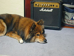 �X�^�W�I�̔ԁH������W���`��