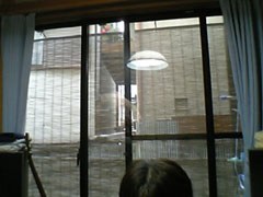 �R�ȃX�^�W�I���猩����J�͗l...(���{�B�e)