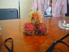 ��삪��y�Y�Ƃ��ă^�C���玝���A�������邩��ɉ���������...